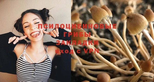 спиды Волоколамск
