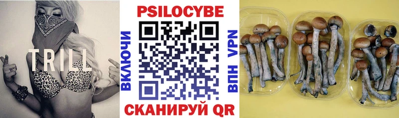 Галлюциногенные грибы мухоморы Дальнегорск